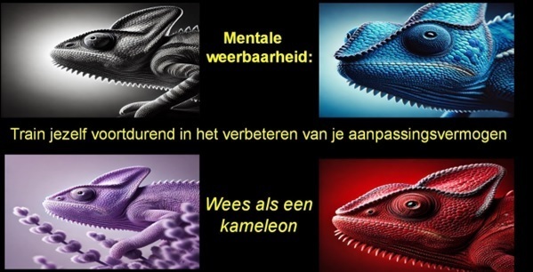 post-2-kameleon